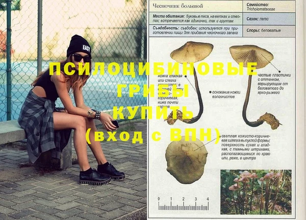 МДМА Абаза