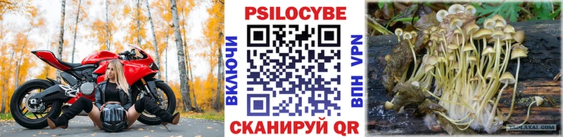 Псилоцибиновые грибы Psilocybine cubensis  что такое   Екатеринбург 